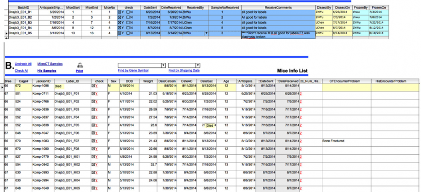 Data Management | Bonebase